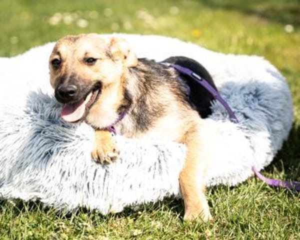 Yami  kleine Kämpferin mit großem Herzen