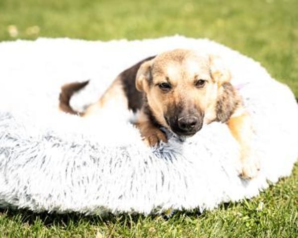 Yami  kleine Kämpferin mit großem Herzen