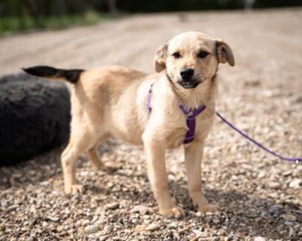 Wer schenkt Lisana ein zu Hause...