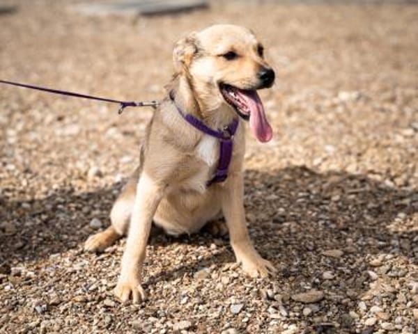 Wer schenkt Lisana ein zu Hause...