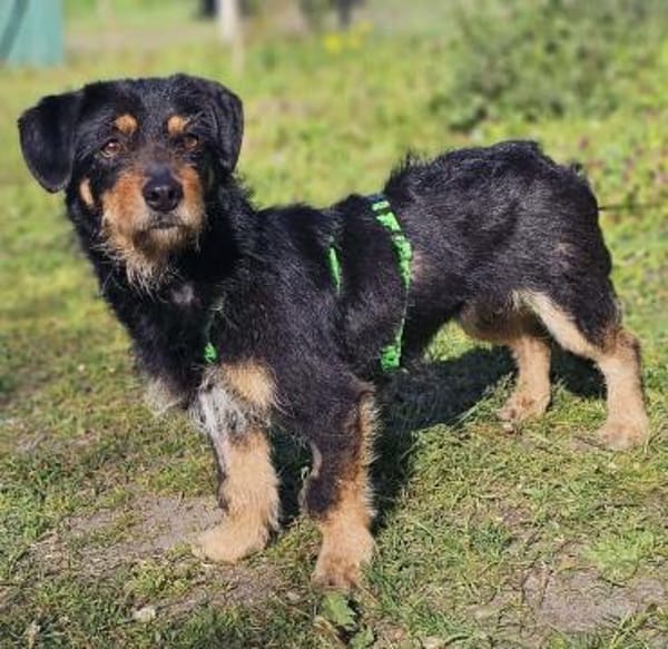 Moni hat ein offenes, freundliches Wesen