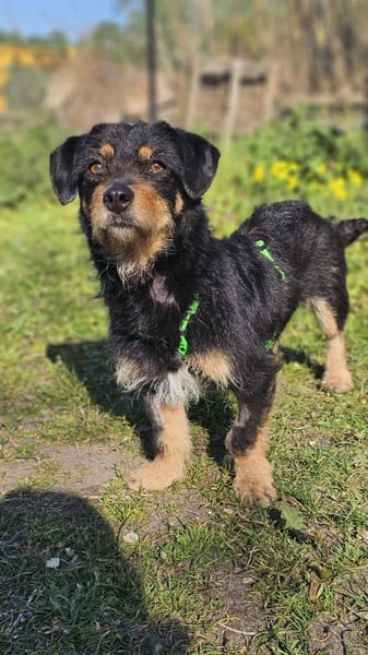 Moni hat ein offenes, freundliches Wesen