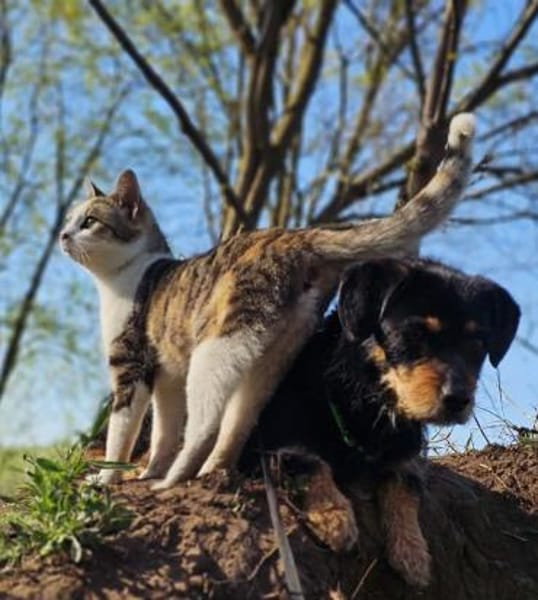 Moni hat ein offenes, freundliches Wesen