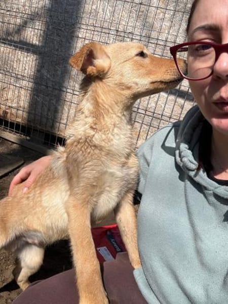 CHARLY wartet immer noch