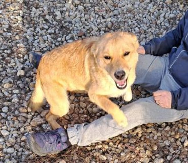 LOTTE - hätte gerne eine Familie