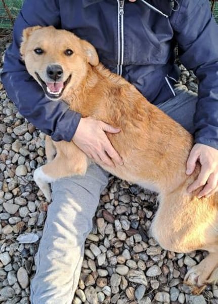 LOTTE - hätte gerne eine Familie