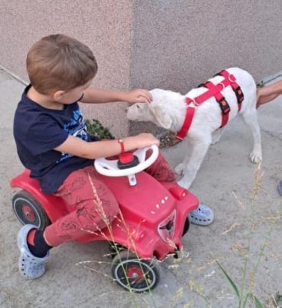 AARON sucht seine Menschen