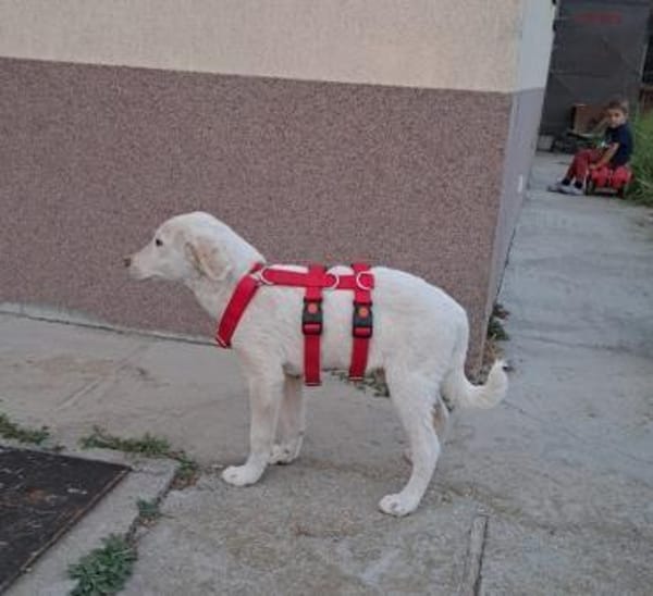 AARON sucht seine Menschen