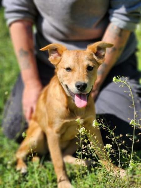 Hope sucht ihr Familienglück