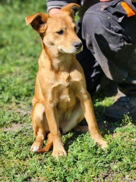 Hope sucht ihr Familienglück