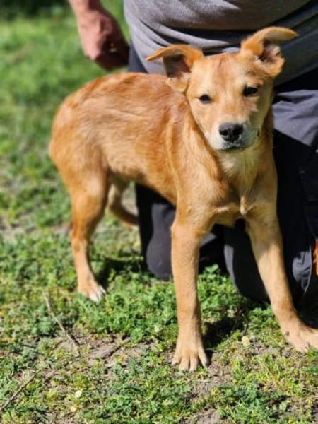 Hope sucht ihr Familienglück