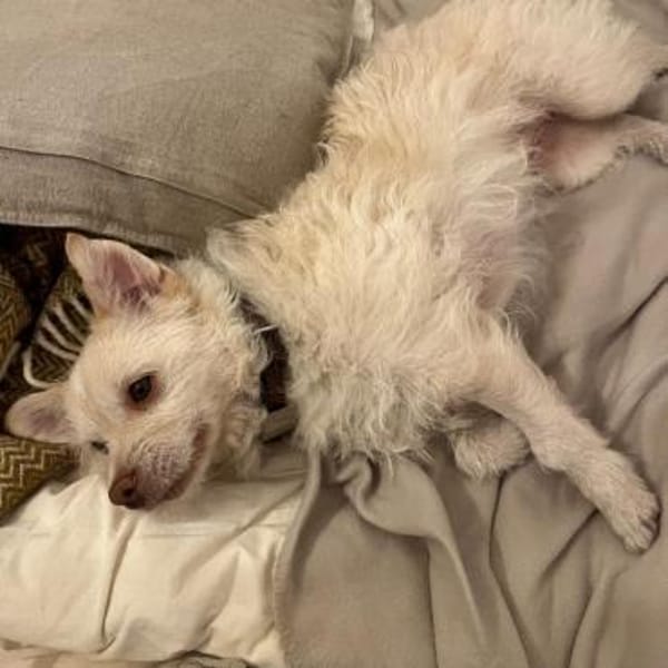 Willow💕möchte nur bei dir sein