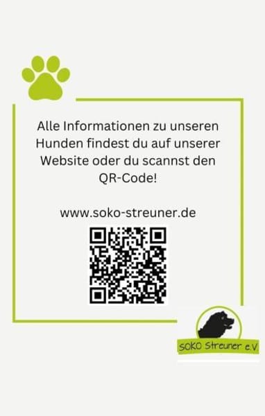 Ailo, ein fröhlicher Bursche