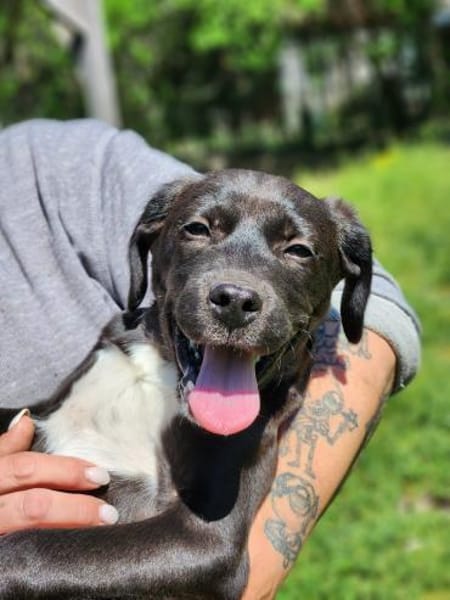 Elias, ein  Wirbelwind sucht Action