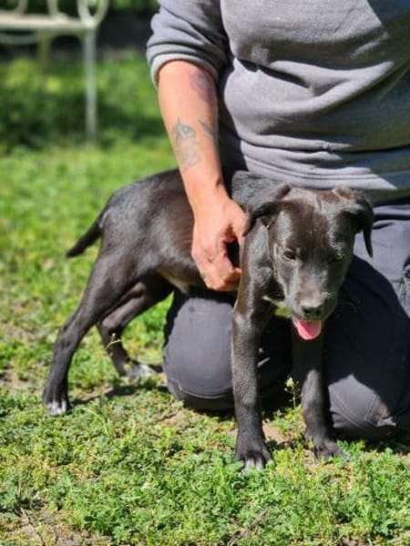 Elias, ein  Wirbelwind sucht Action