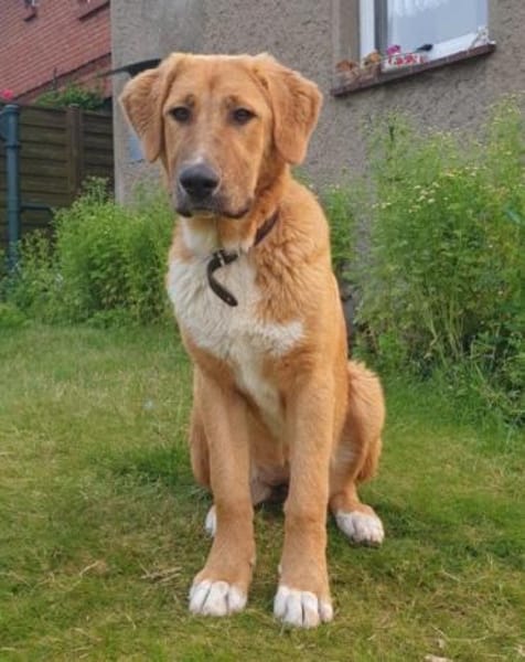 HSH-Mix-Lady♥Suvi♥63911 Klingenberg/Main