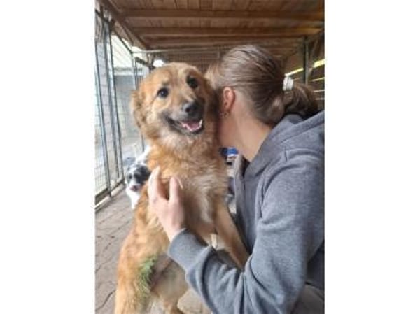Ellisa - wartet in 61250 Usingen
