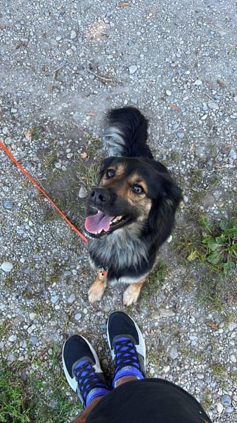 Punchy  aktives und sportliches Mädel