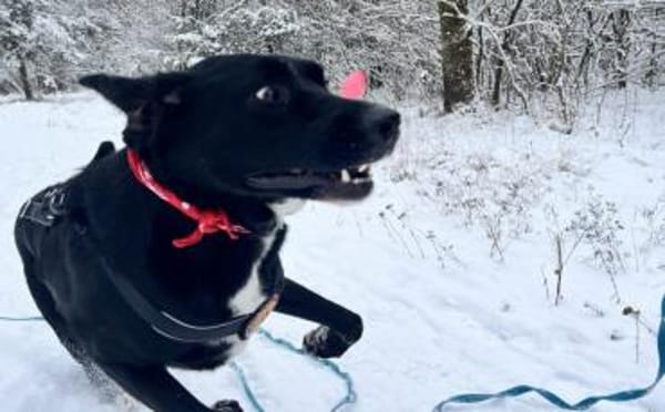 Jake Sully sucht seine eigene Familie