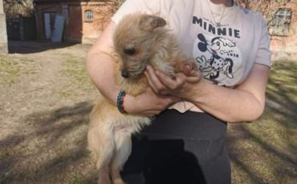 Die kleine Brie wartet auf dich