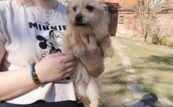 Die kleine Brie wartet auf dich