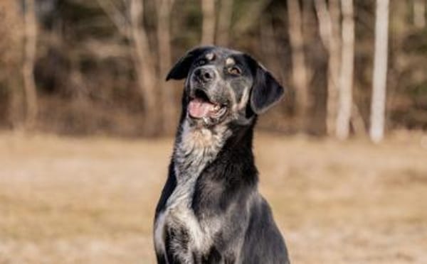 Zera sucht ihre Lieblingsmenschen