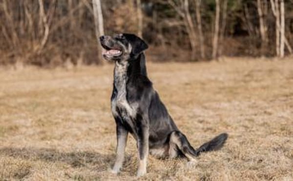 Zera sucht ihre Lieblingsmenschen