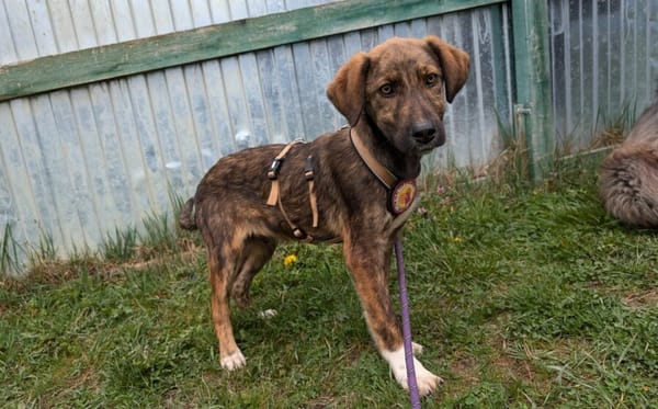 Nuri sehnt sich nach einer Familie!