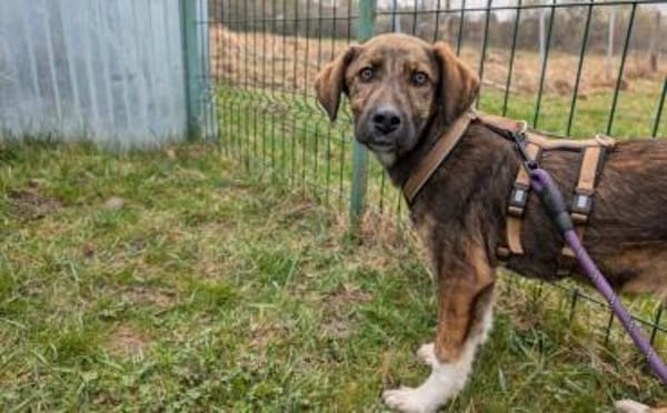 Nuri sehnt sich nach einer Familie!