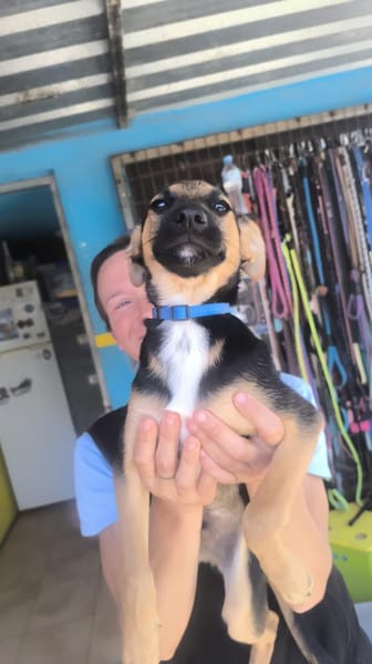 Rudi