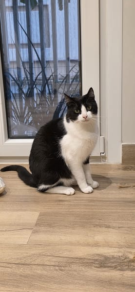 OSCAR et BETTY