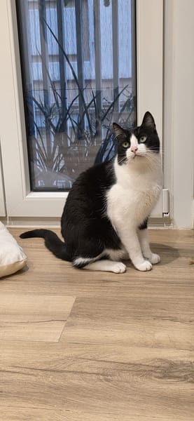 OSCAR et BETTY