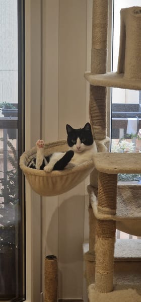 OSCAR et BETTY