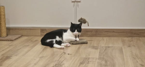 OSCAR et BETTY