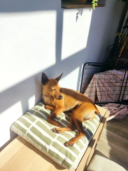 BONI (Maria)