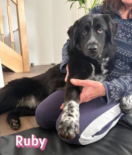 Ruby - freundlich und menschenbezogen