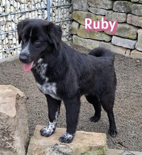 Ruby - freundlich und menschenbezogen