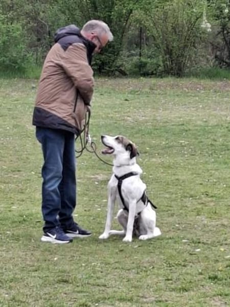 Benny sucht dringend ein Zuhause