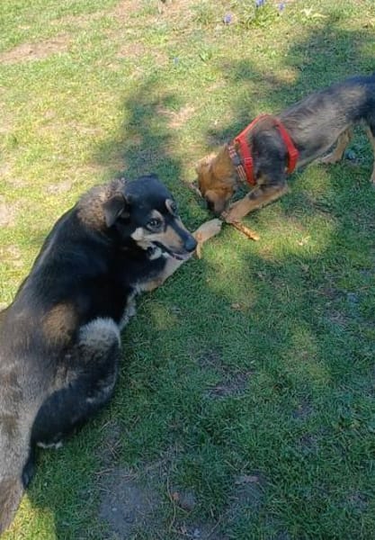 LINA 💛💛💛 sanft und liebenswert