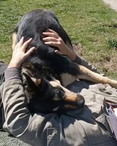 LINA 💛💛💛 sanft und liebenswert