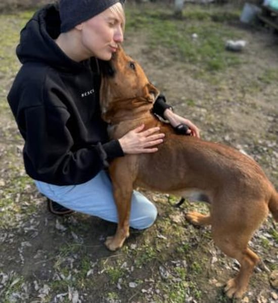 Big Buddy-Liebervoller Bollerkopf sucht