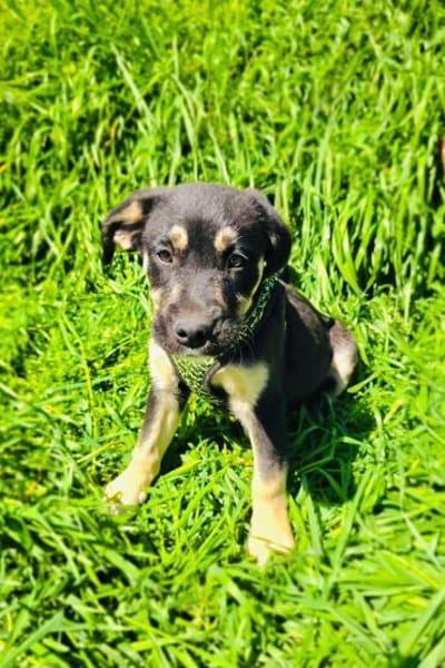 Frieda ein sehr liebevolles Mädchen