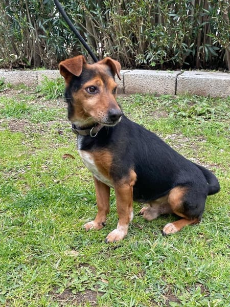 Bau sucht Happy-Home
