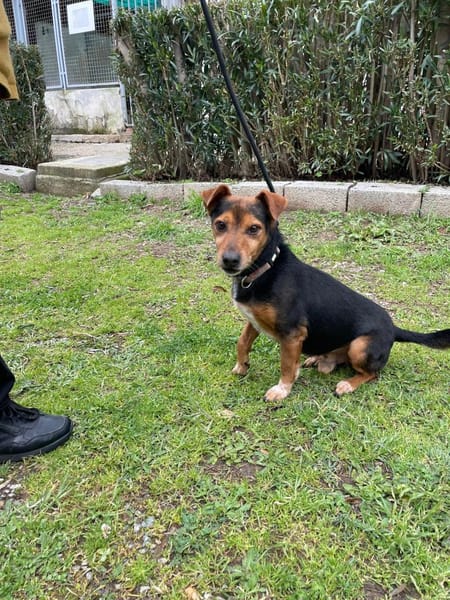 Bau sucht Happy-Home