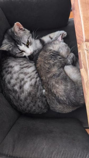 Bura und Pigi gemeinsam
