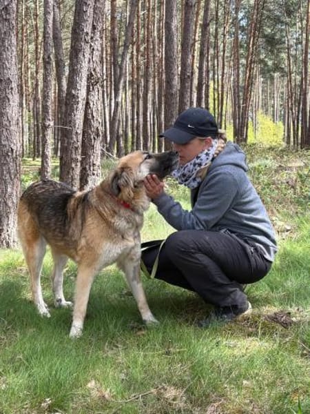 🐾 July  liebevolle, sanfte Hündin
