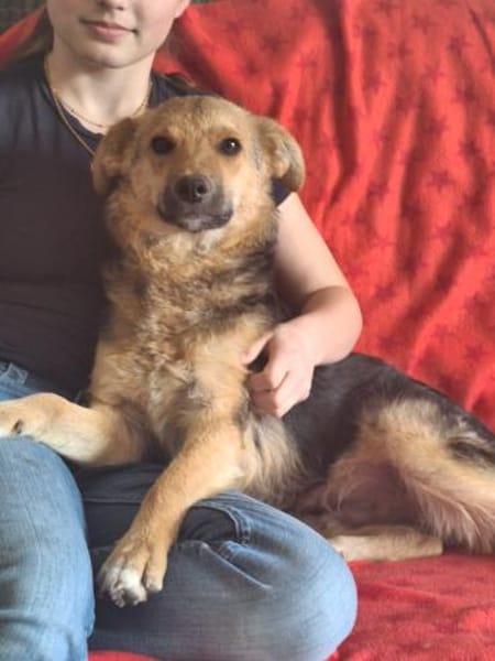 Max sucht ein schönes Zuhause