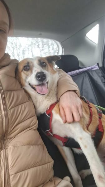 DARCY ist ein liebevolles Mädchen ♥
