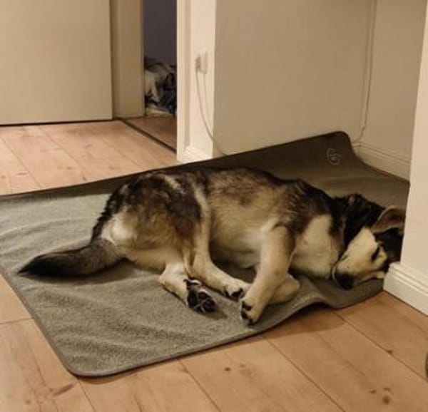 Der liebe Grisu verzauberte uns sofort!