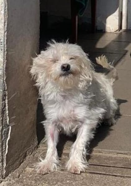 Tina - kleine Zuckerschnute sucht Liebe